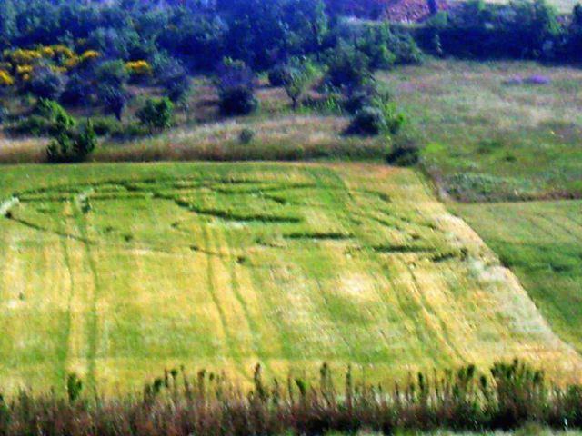 Crop circle 2013
