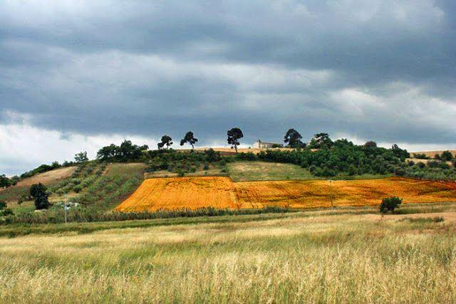 Crop circle 2013