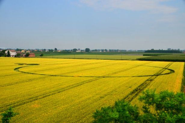 Crop circle 2013