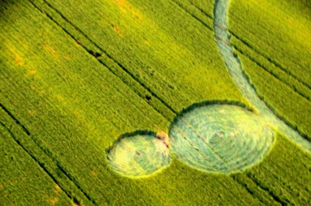 Crop circle 2013