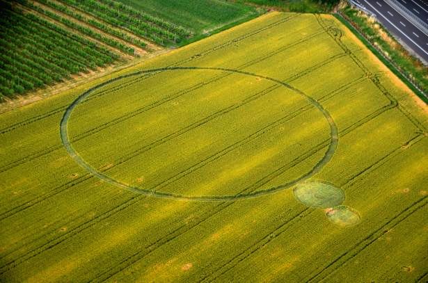 Crop circle 2013