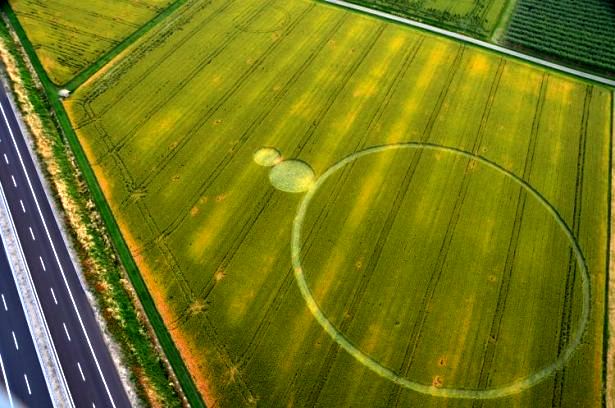 Crop circle 2013