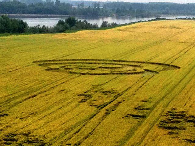 Crop circle 2013