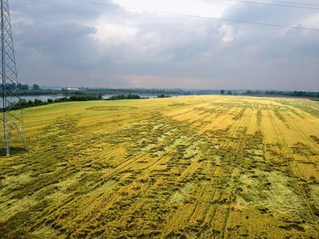 Crop circle 2013