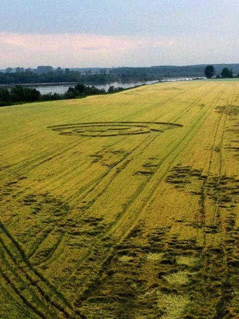 Crop circle 2013