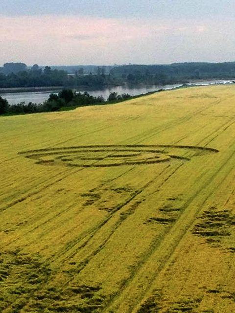 Crop circle 2013