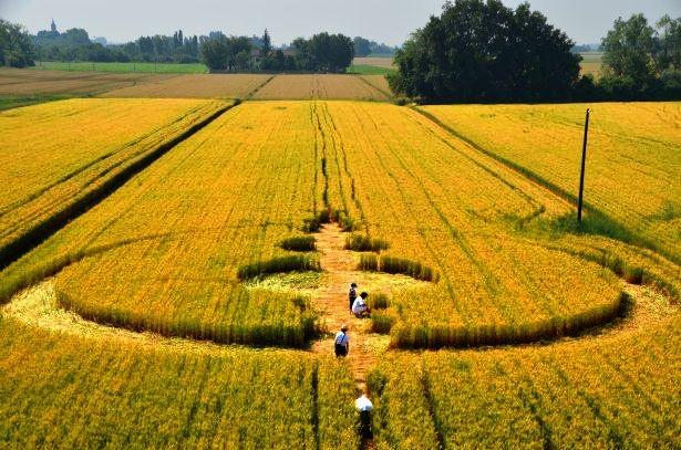 Crop circle 2013