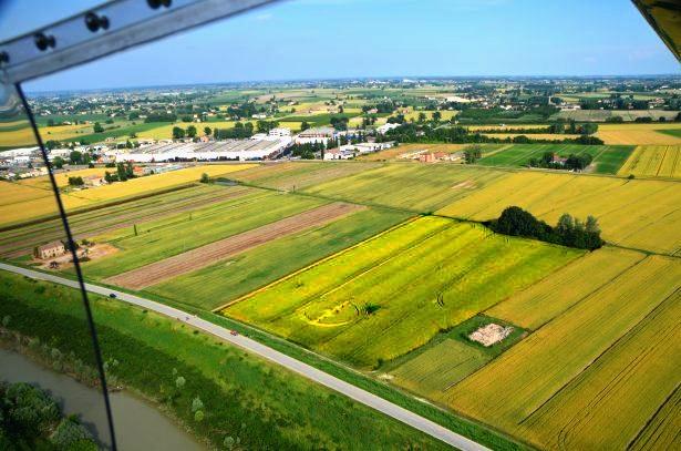 Crop circle 2013