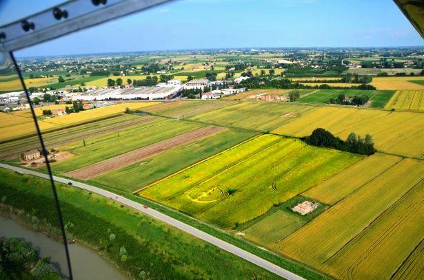 Crop circle 2013