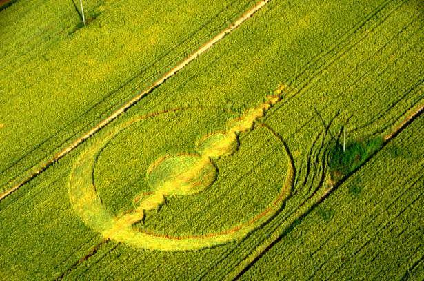 Crop circle 2013