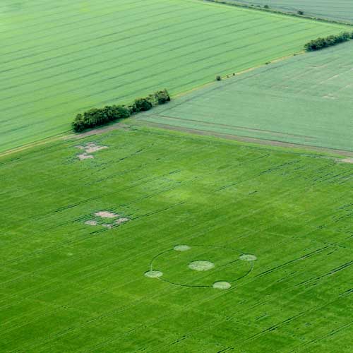 Crop circle 2013