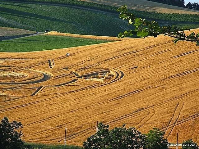Crop circle 2013
