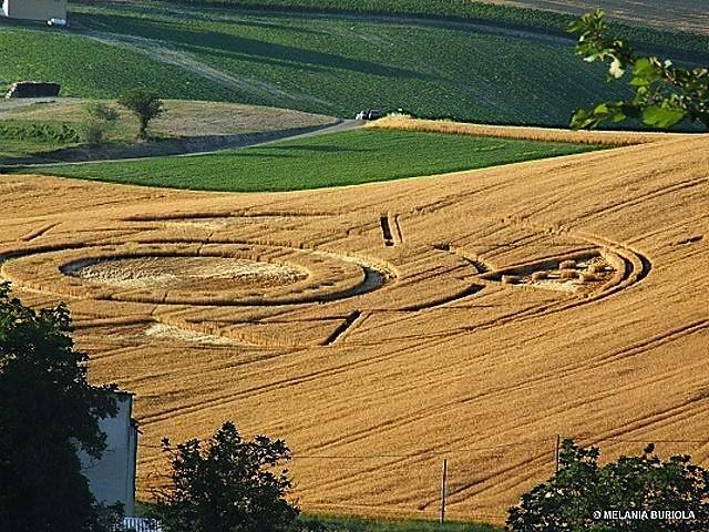 Crop circle 2013