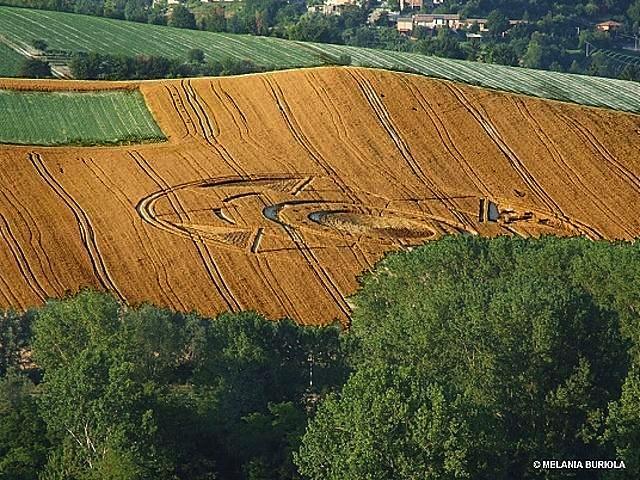 Crop circle 2013