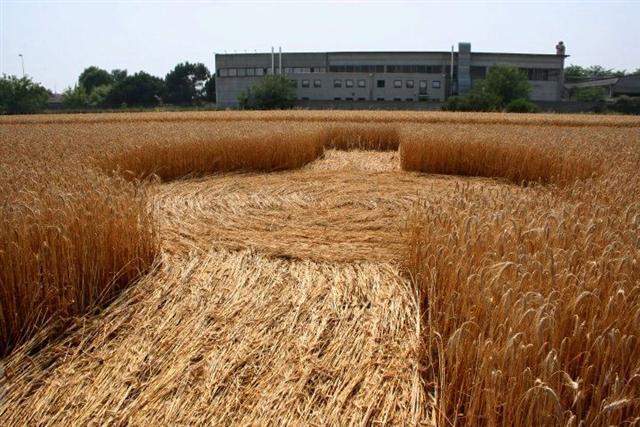 Crop circle 2013