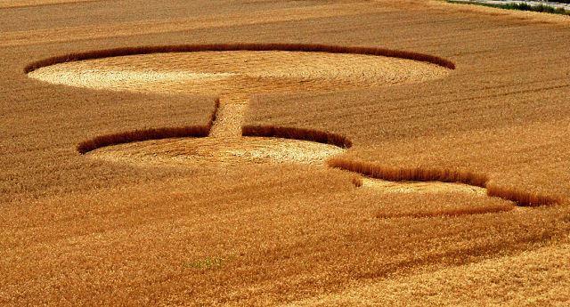 Crop circle 2013