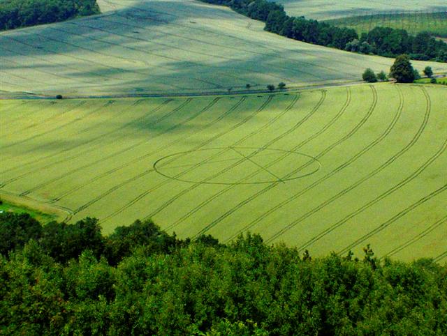 Crop circle 2013