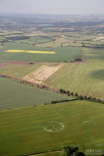 Crop circle 2013