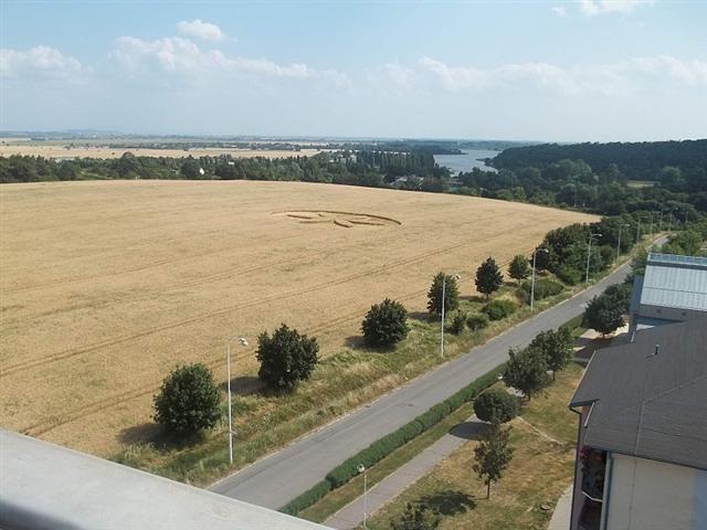 Crop circle 2013