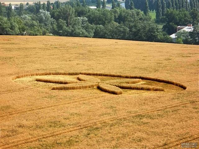 Crop circle 2013