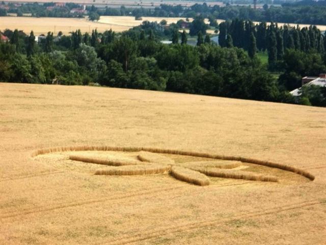 Crop circle 2013