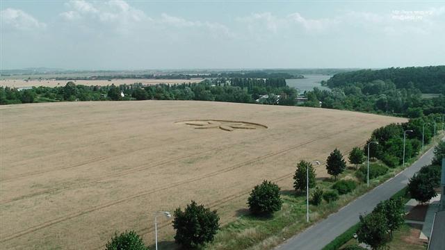 Crop circle 2013