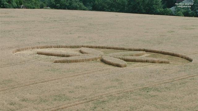 Crop circle 2013