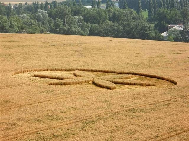 Crop circle 2013