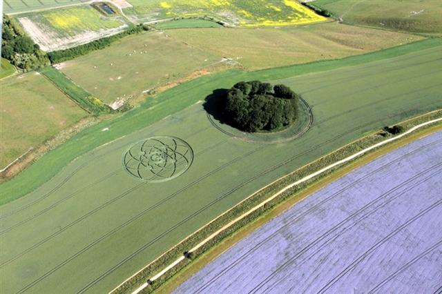 Crop circle 2013