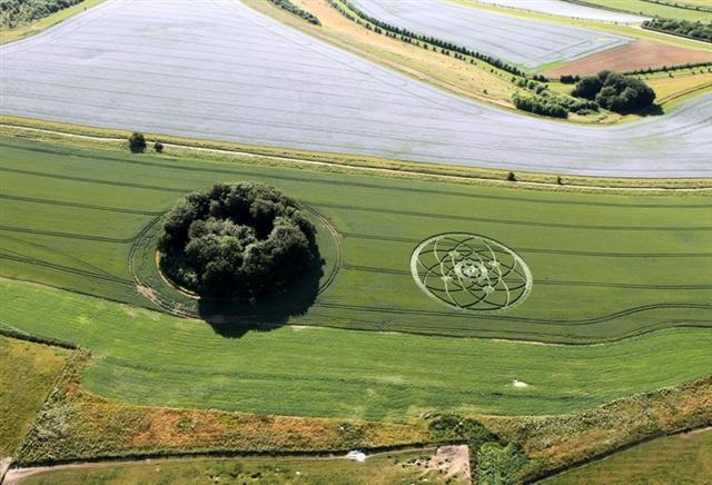 Crop circle 2013