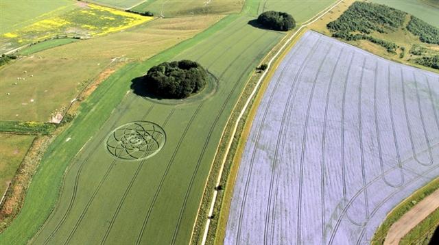 Crop circle 2013