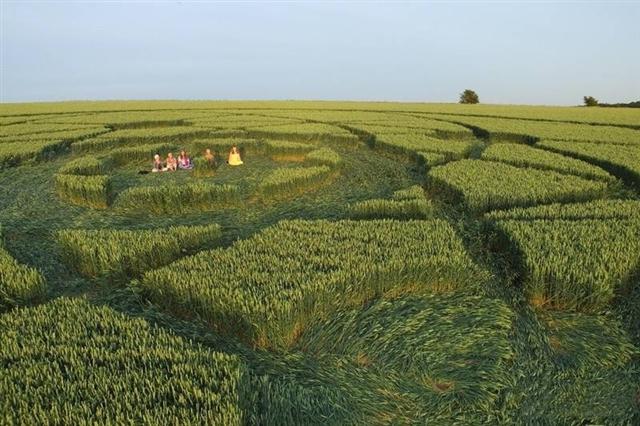 Crop circle 2013