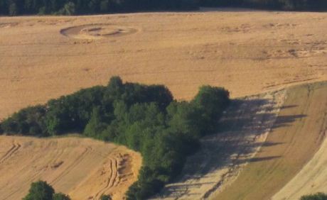 Crop circle 2013