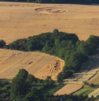 Crop circle 2013