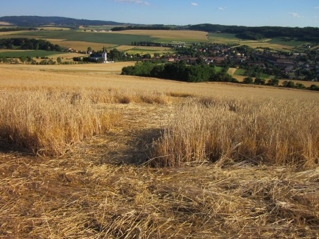 Crop circle 2013