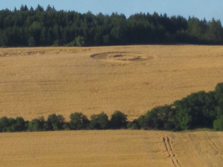Crop circle 2013