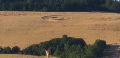 Crop circle 2013