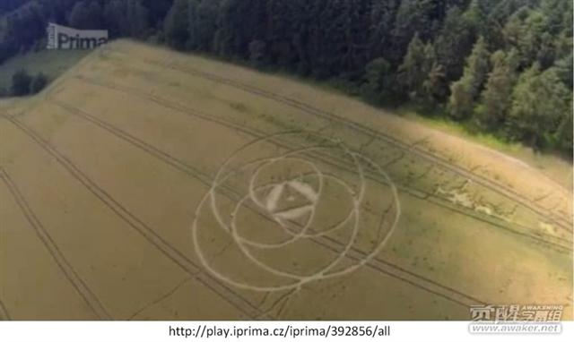 Crop circle 2013