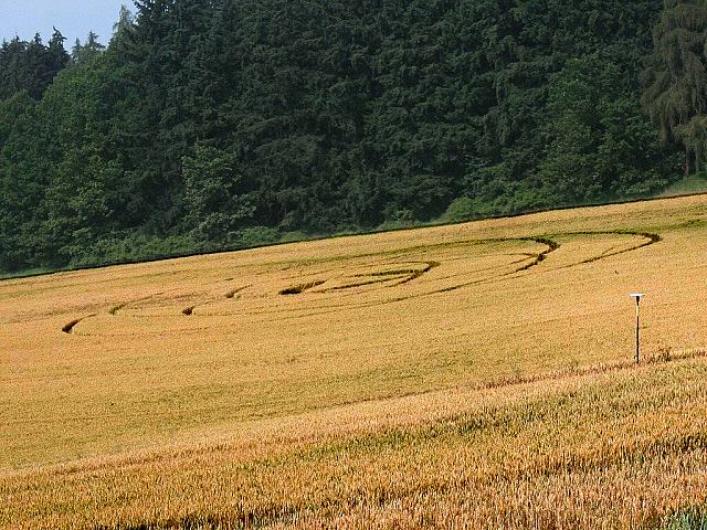 Crop circle 2013