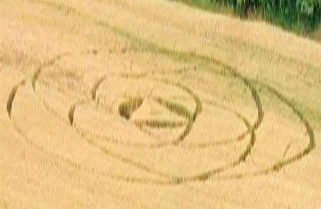 Crop circle 2013