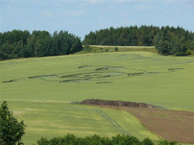 Crop circle 2013