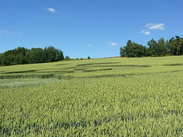Crop circle 2013