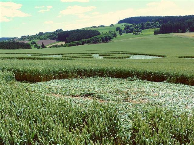 Crop circle 2013