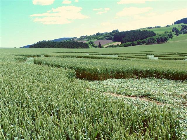 Crop circle 2013