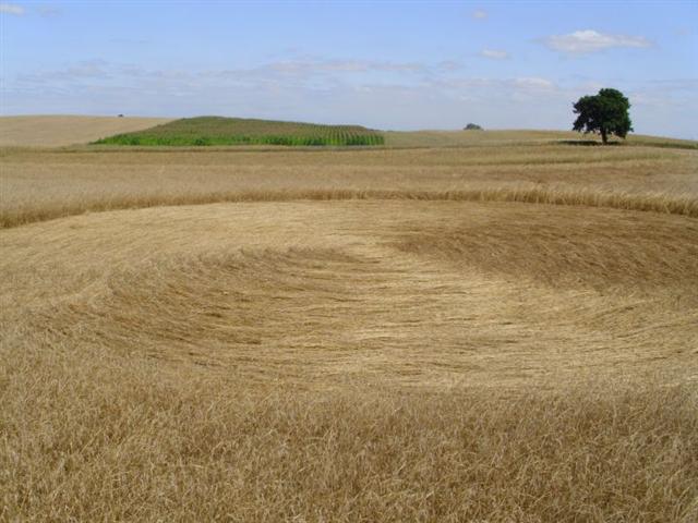 Crop circle 2013