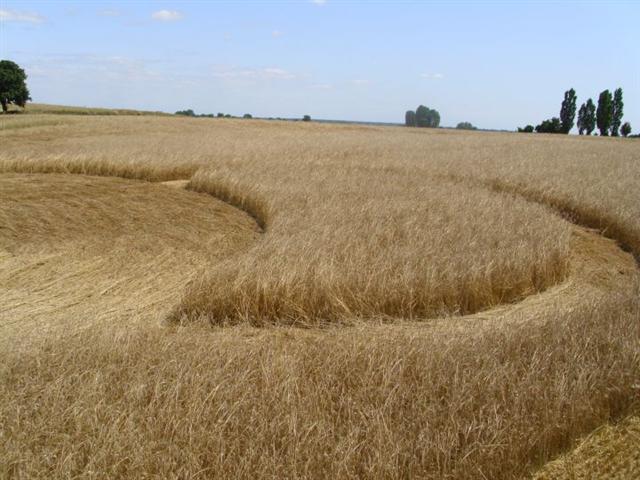 Crop circle 2013