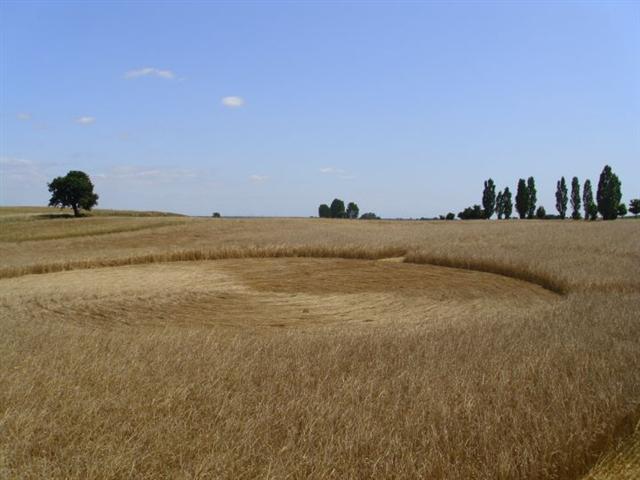 Crop circle 2013