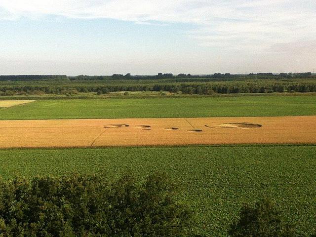 Crop circle 2013