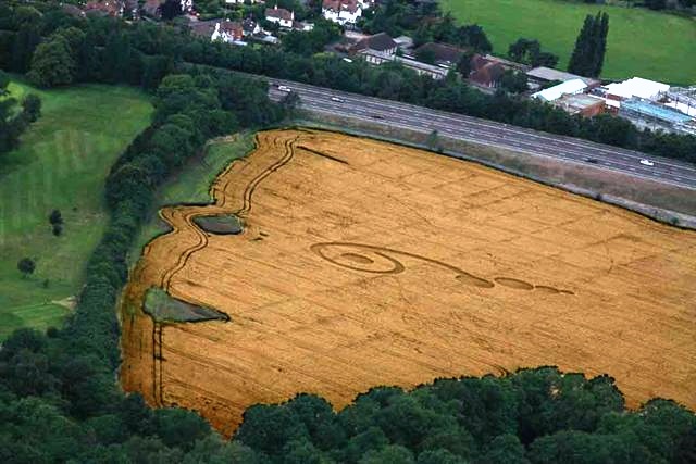 Crop circle 2013