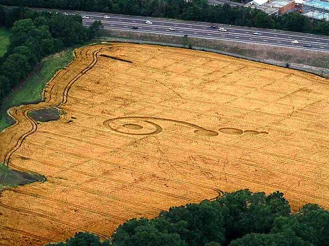 Crop circle 2013